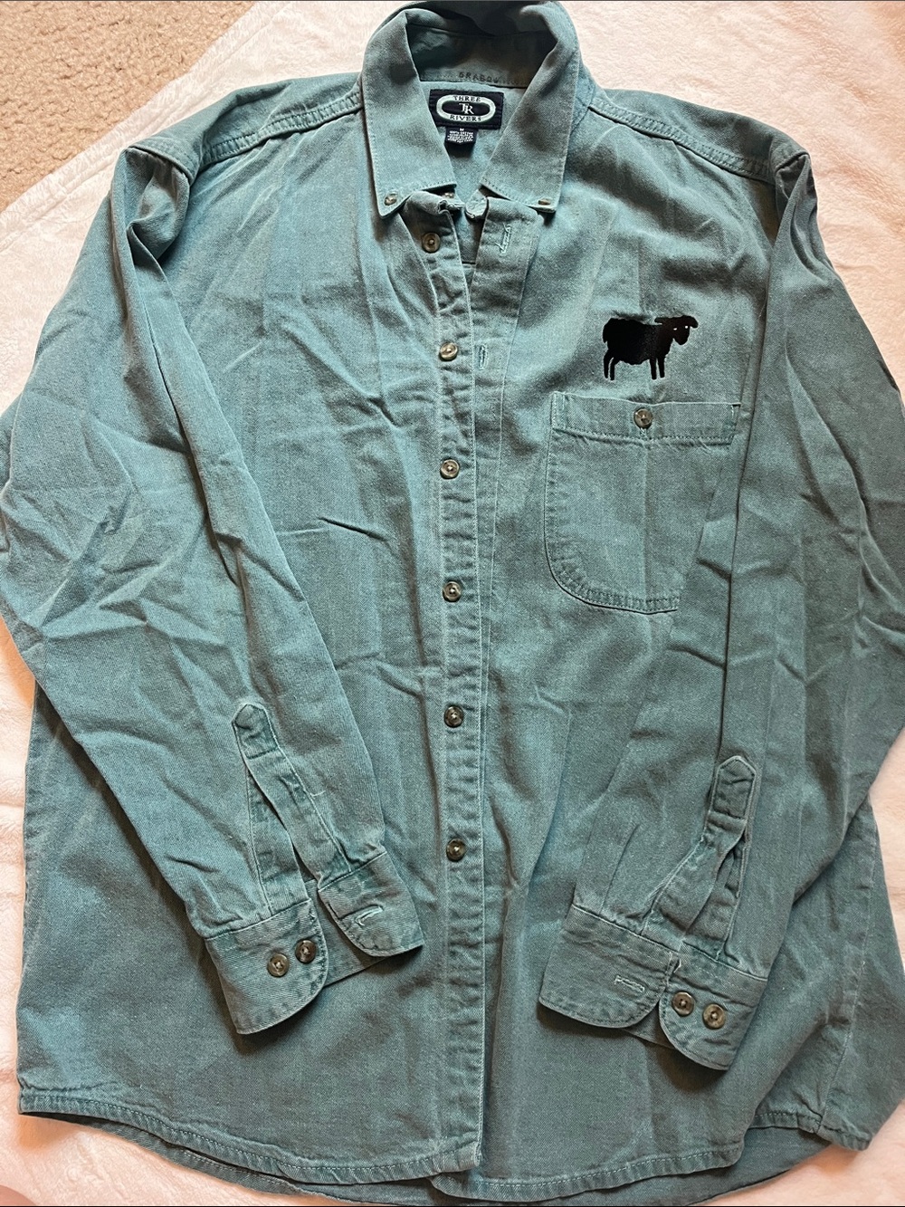 Men’s Teal Blacksheep Workshirt